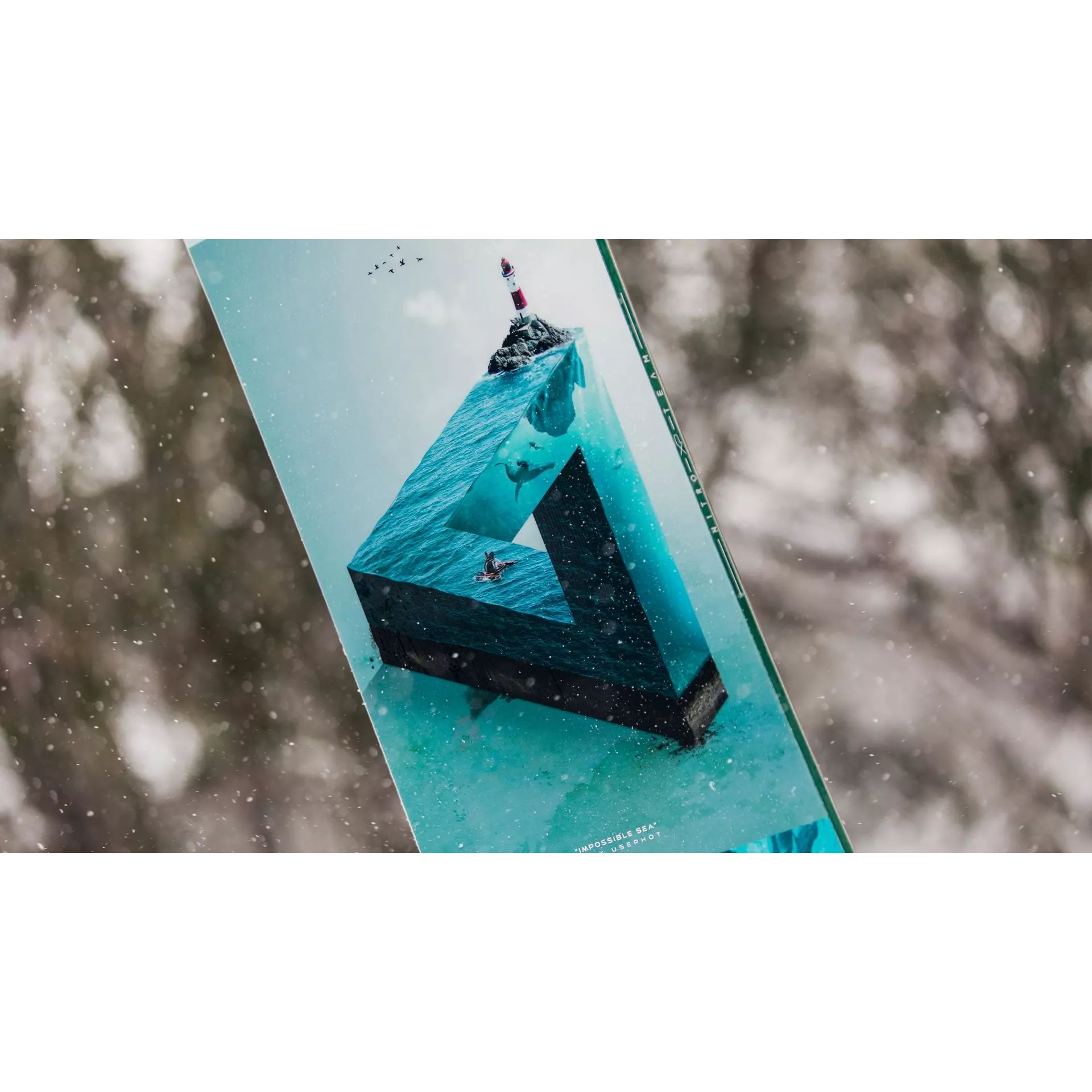 Plăci Snowboard -  nitro TEAM EXPOSURE